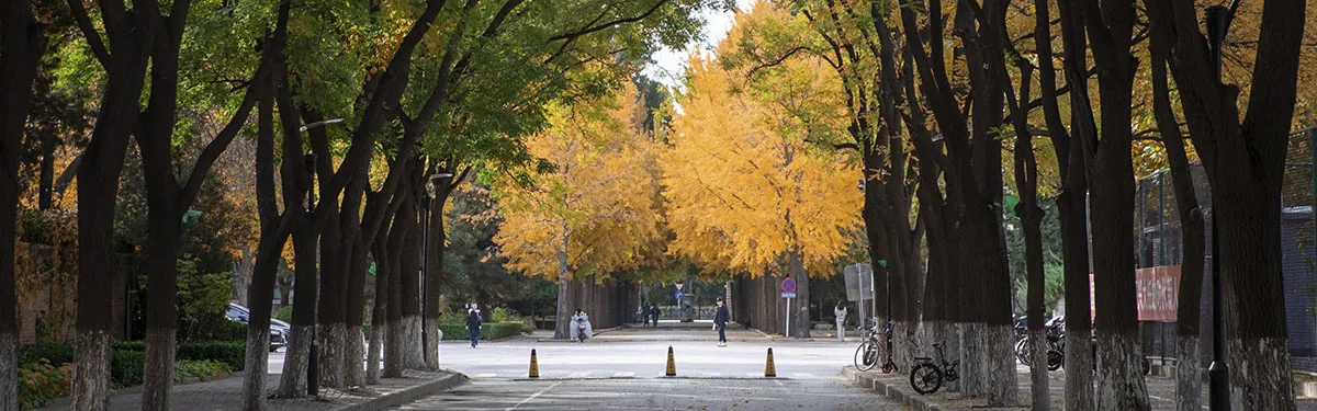 Beijing Forestry University campus grounds and academic buildings
