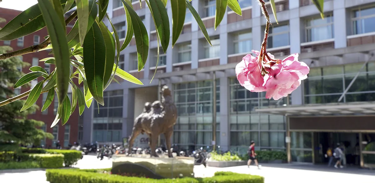 Capital University of Economics and Business campus grounds and academic buildings