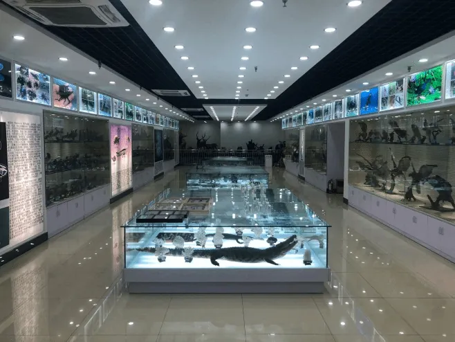 Teaching and research laboratory at Sichuan Normal University