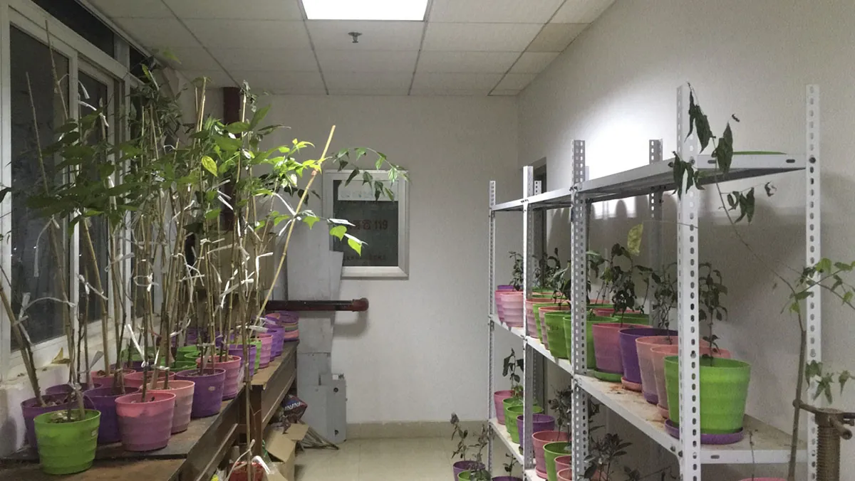 Forestry and environmental science laboratory at Nanjing Forestry University