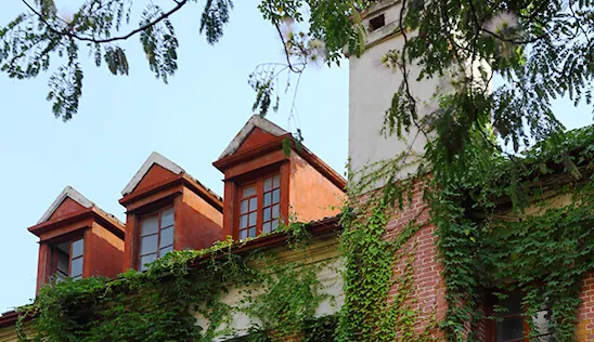 Shanghai University Baoshan campus grounds and academic buildings