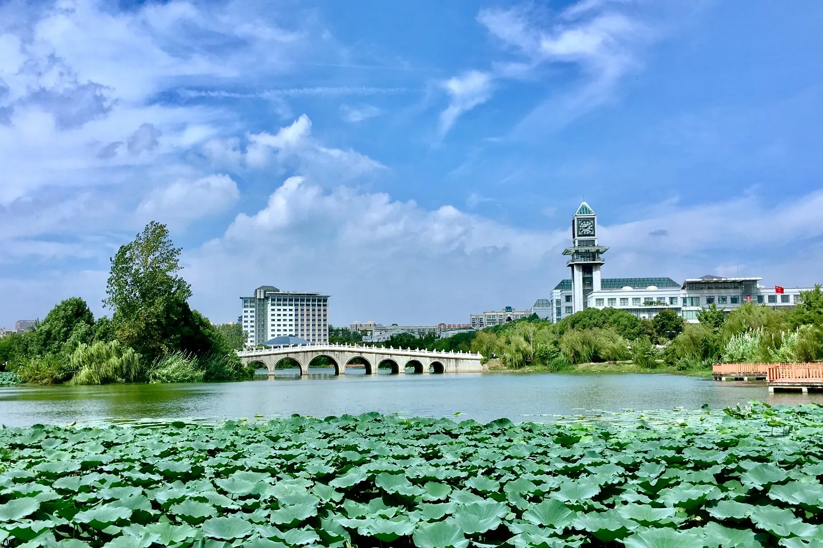 Zhongnan University of Economics and Law campus grounds